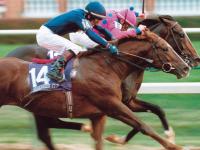 半岛体育vip注册-爱尔兰选手在马术比赛中获得好成绩