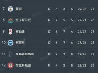 半岛体育活动-包含切尔西客场胜利，继续领跑积分榜的词条