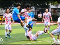 半岛体育下载-足球明星进入训练营，备战未来比赛