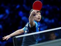 加勒比拳击手实力强劲，赢得尊重