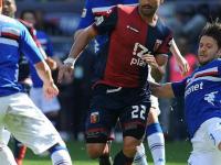 半岛体育app-包含意大利顶级联赛黑马球队表现不俗，球迷沸腾欢呼的词条