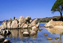 半岛体育入口-肯尼亚女足队展现团队力量赢家