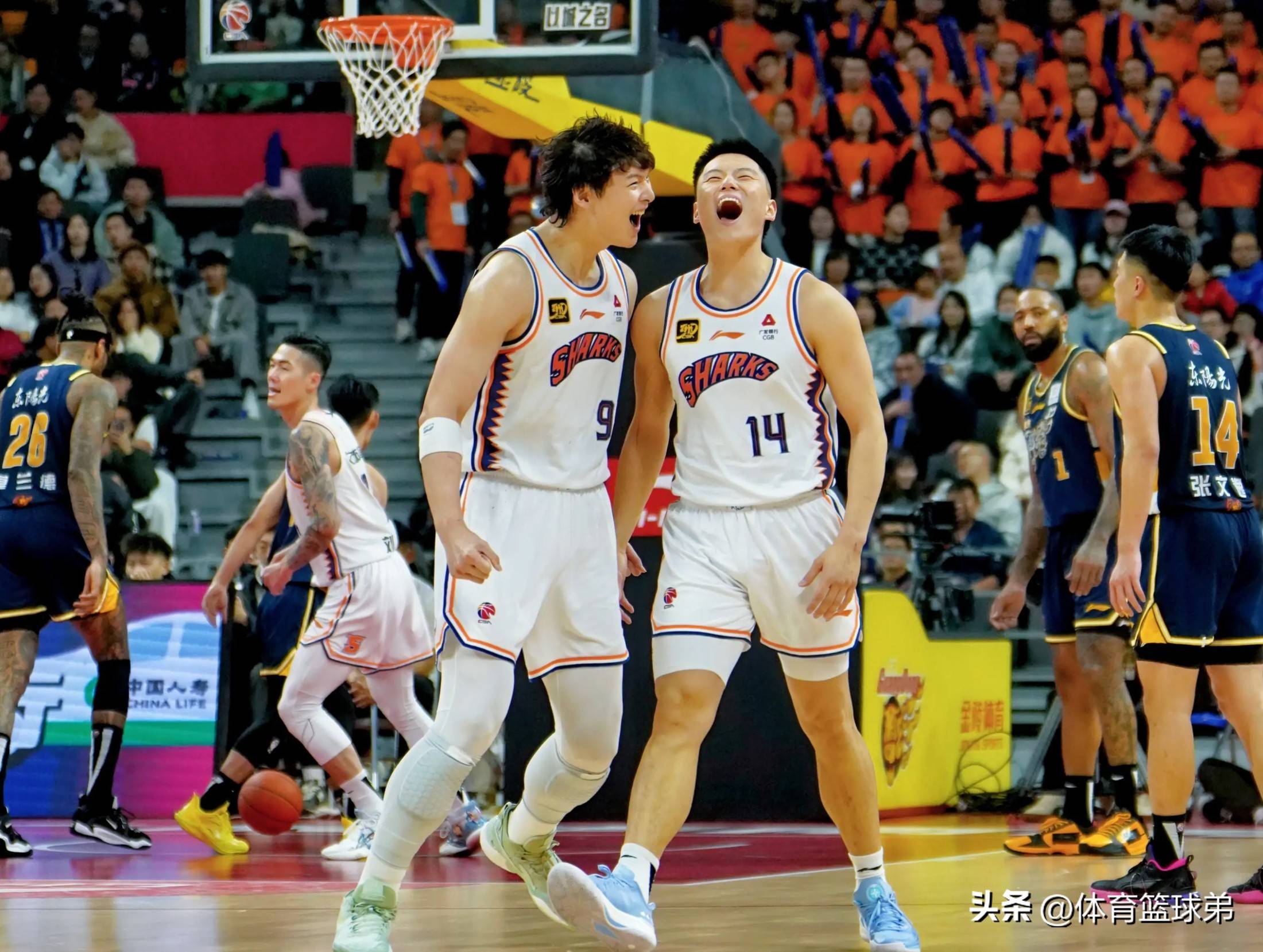 球队表现稳定，连续击败强敌