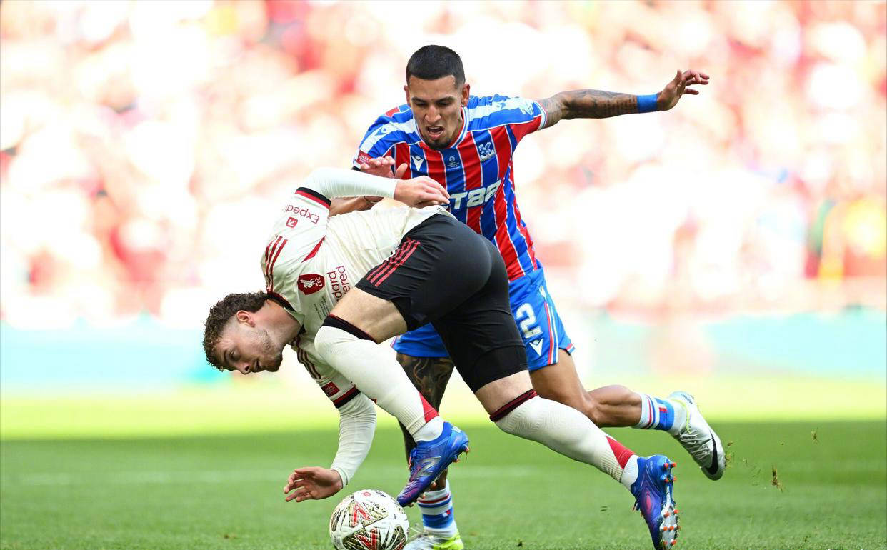 水晶宫主场失利，球迷面临困惑的简单介绍