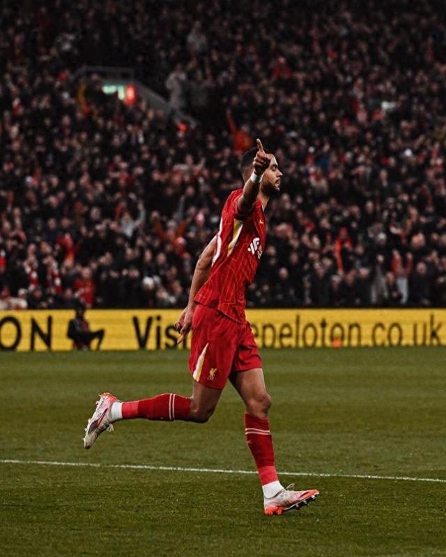 热刺主场大胜拜仁，晋级决赛