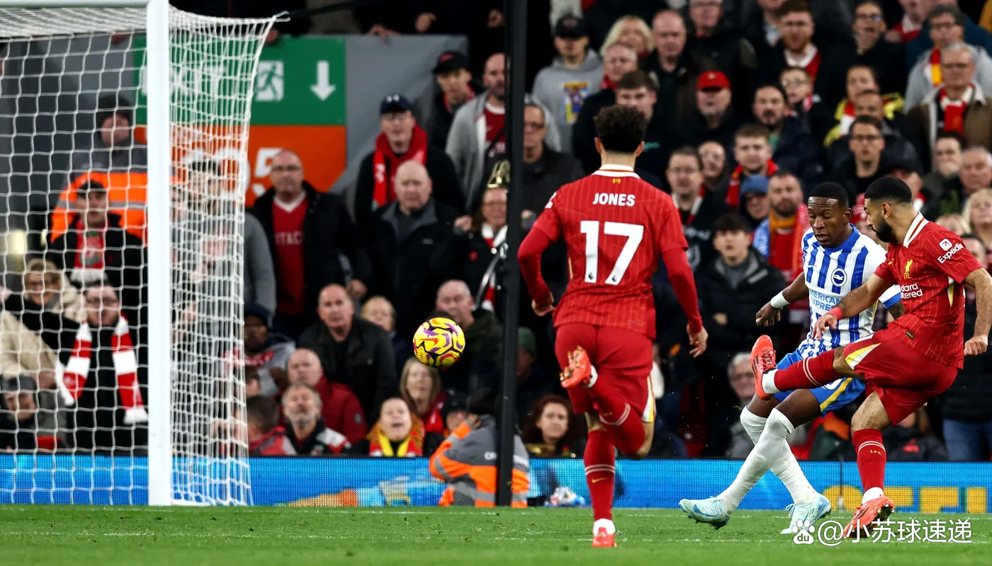 包含利物浦主场击败布莱顿，保持联赛不败纪录的词条