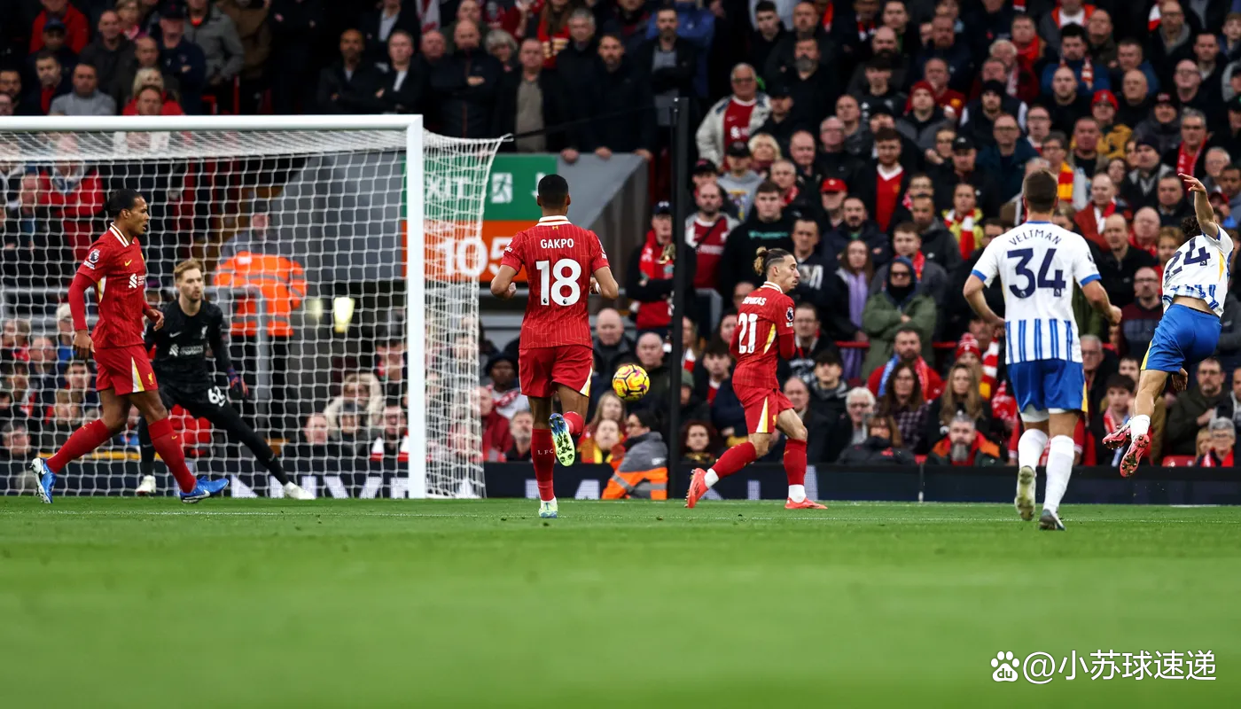 包含利物浦主场击败布莱顿，保持联赛不败纪录的词条